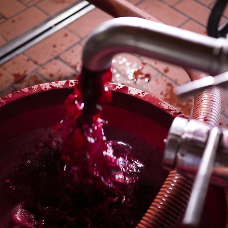 I Dolci Grappoli Villa Larino Dış mekan fotoğraf