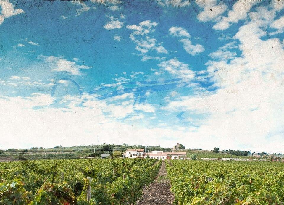 I Dolci Grappoli Villa Larino Dış mekan fotoğraf
