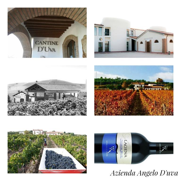 I Dolci Grappoli Villa Larino Dış mekan fotoğraf